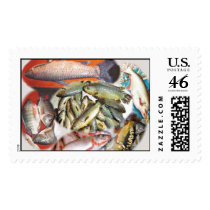 Fish Stamp