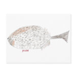 Fish Postcards