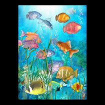 Fish posters