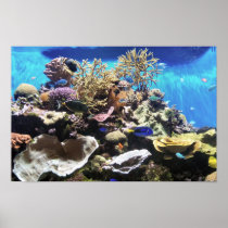 Fish  print