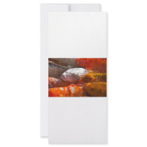 fish rack cards