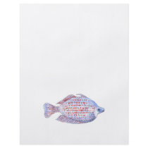 Fish. Red Line Rainbowfish. Flyers