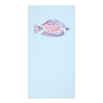 Fish. Red Line Rainbowfish. Photo Card