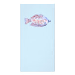 Fish. Red Line Rainbowfish. Photo Card
