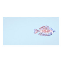 Fish. Red Line Rainbowfish. Photo Cards