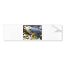 fish,salt water bumper stickers by pinkypetals fish,salt water bumper stickers