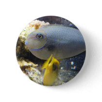 fish,salt water buttons by pinkypetals fish,salt water buttons