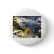 fish,salt water buttons by pinkypetals fish,salt water buttons