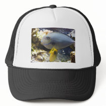 fish,salt water hats by pinkypetals fish,salt water hats