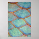 Fish scales from the queen parrotfish posters