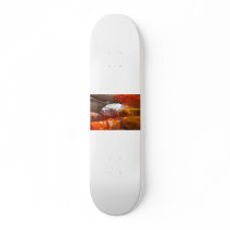 fish skateboard