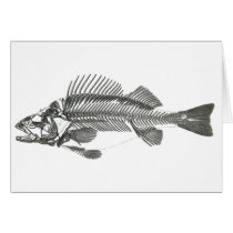 Fish Skeleton cards