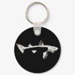 Fish Skeletons Collection