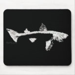 Fish Skeletons Collection