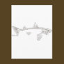 Fish Skeletons Collection