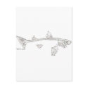 Fish Skeletons Collection postcards