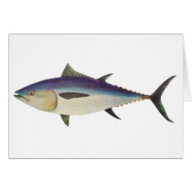 Fish - Southern Bluefin Tuna - Thunnus maccoyii cards