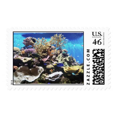 Fish Stamps by briggie
