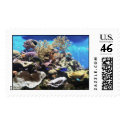 Fish Stamps
