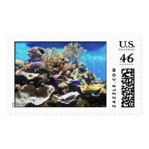 Fish Stamps by briggie Fish Stamps