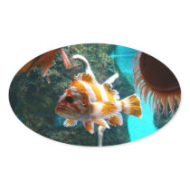 Fish Sticker