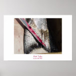 Fish Tales posters