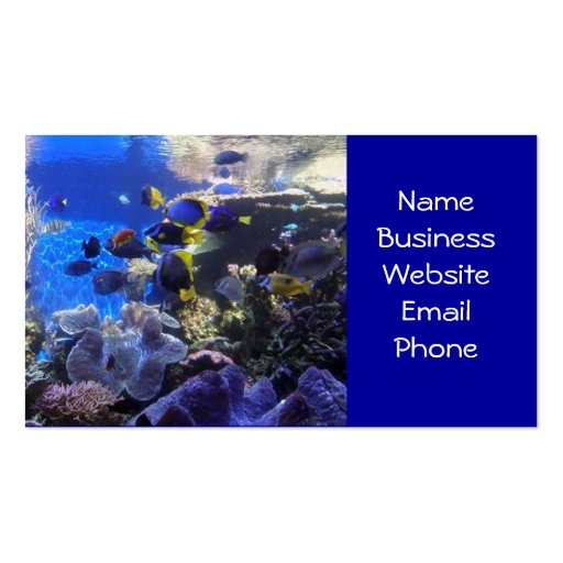 Fish tank 2 business cards