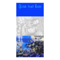 Fish tank 2, Your text here photo card photo cards by marcya7 Fish tank 2, Your text here photo card photo cards