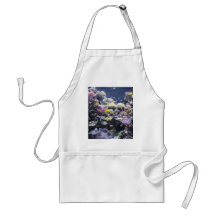 Fish Tank Aprons