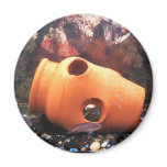Fish Tank Magnet