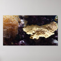 Fish Tank Mural Print