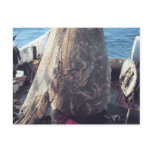 Fish Trawling Net postcards