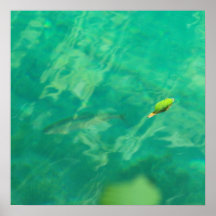 Fish water fish more water poster