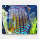 Fish with big blue eyes & blue stripes, swimming o mousepads
