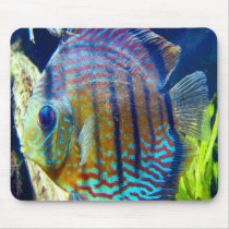 Fish with big blue eyes & blue stripes, swimming o mousepads by design_girl Fish with big blue eyes & blue stripes, swimming o mousepads