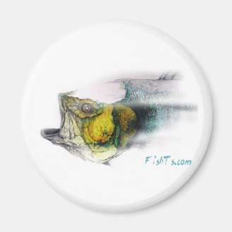 Fish World Tour Magnets