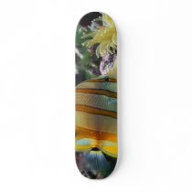 Fishboard skateboards by s_adams_2013 Fishboard skateboards