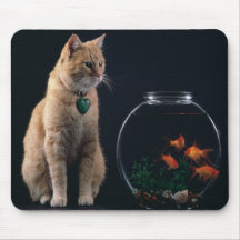fishbowl kitty mousepad