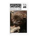 Fisher Cat postage by FisherCatCreek Fisher Cat postage