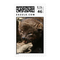Fisher Cat postage