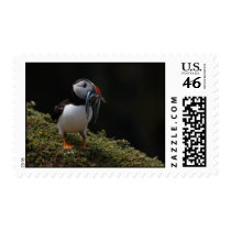 Fisher Puffin postage
