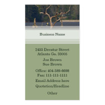 Fisherman Business Card business cards