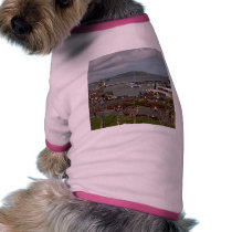 Fishermans Dock pet clothing