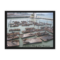 fisherman's wharf postcards by cardart fisherman's wharf postcards