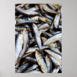 Fishes close-up poster