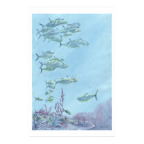 Fishes posters by eelfish1 Fishes posters