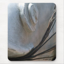 FishEye mousepads