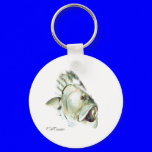 FishHeads Collection by FishTs.com