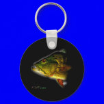 FishHeads Collection by FishTs.com