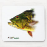 FishHeads Collection by FishTs.com